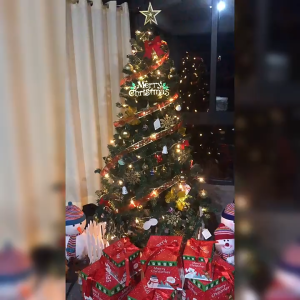 Christmas tree decoration Home Anti-UV package encryption luminescence luxury 2026 new DIY decoration 90CM/120CM/150CM/180CM Ber Months