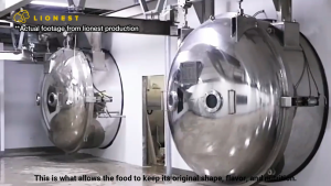 LIONEST PETS Codfish Cube (Trial Pack 35g) | Freeze-Dried | Light Protein | Cat Dog Treat | Makanan Kucing