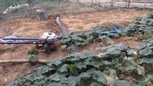 Máy hút cát chạy xăng dùng cho gia đình nông trại