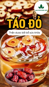 Táo đỏ Hàn Quốc 100g trà táo đỏ Tân Cương quả to dày thịt hạt nhỏ vị ngọt dùng ăn vặt pha trà hầm canh