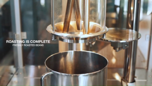 เมล็ดกาแฟคั่ว Ipanema Premier CRU BLACK- B67 Berry | ขนาดบรรจุ 100 กรัม