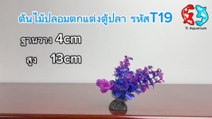ต้นไม้ปลอมไว้สำหรับตกแต่งตู้ปลา ฐานวาง4cmสูง13cm  รหัสสินค้าT19