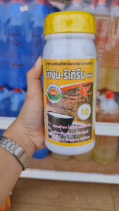 ยาทาหน้ายาง ม้าบิน-รีเทิร์น เบอร์ 10