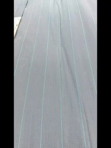 Union พลาสติกคลุมดิน พลาสติกคลุมวัชพืช พลาสติกคลุมหญ้า ผ้าคลุมหญ้า กำจัดวัชพืช ผสมUV เห็นผลไว กว้าง 0.91.2 และ2 ม. ยาว 5 1020 ม.และ50 ม. มีสามรุ่น