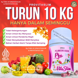 Pelangsing badan dan perut wanita pria PROVITASLIM obat langsingin perut buncit turunkan berat badan kurusin cepat ampuh bpom pembakar lemak tubuh minuman pelangsing kapsul detox herbal alami aman untuk busui aman untuk lambung atasi kolesterol TOKO 2P