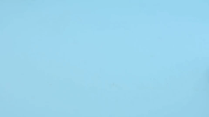 ชุดหั่นผักผลไม้ ของเล่นไม้ มอนเตสซอรี่ Montessori Toy ของเล่นเสริมพัฒนาการ 🚚พร้อมส่งจากไทย