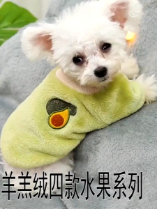 【Be worth】 Whisker MOLAMGO Cat Pet Clothes Fashion Small Large Medium Years Outfit