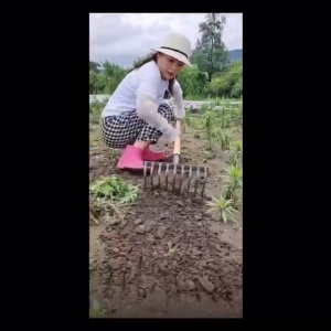 จอบหญ้า/คราดพื้นที่广大 9/10 ฟัน สำหรับงานสวน ทนทาน ใช้งานง่าย