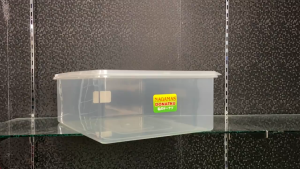 Tempat kotak donat plastik / Kotak box penyimpanan donat