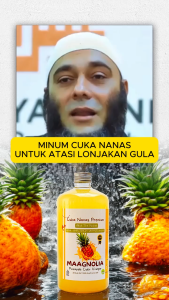 Cuka Nanas Maagnolia 500ml Original Manfaat Untuk Kesehatan