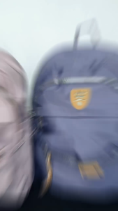 CHIBAO - Tas Ransel Wanita Lz-218 Backpack Terbaru