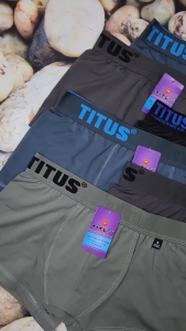 Comno 5 Và 10 Quần Lót Nam Đùi Thun Lạnh Titus Bản Lưng To Mềm mịn Co Giãn Thoáng Mát Size :40 - 90 Kg [007] Đồ Lót Quỳnh Nhi