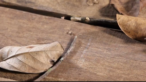 พวงกุญแจมีดพับจิ๋ว มีดพับขนาดจิ๋ว มีดพับขนาดเล็ก