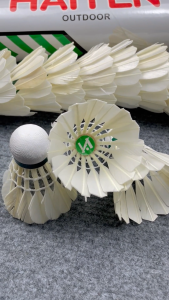 Hộp Cầu Lông Đế Gỗ Hải Yến Bạc Ống Cầu Lông Vịt Trái Cầu Lông Vũ Trắng Quả Cầu Lông Vịt Thi Đấu Và Luyện Tập