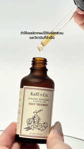 Kaff & Co. หนังศีรษะมัน ลดอาการผมร่วง ผมลีบ แชมพูน้ำมันมะกรูดสกัดเย็น 40ml & ทรีทเม้นท์สารสกัดเหง้าขิง 10ml