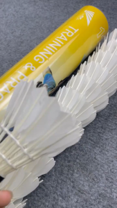 Hộp Cầu Lông Vũ Đế Xốp (12 Quả) XD1102  - Ống Cầu Lông Vịt - Trái Cầu Lông Vũ Trắng - Quả Cầu Lông Vịt Luyện Tập