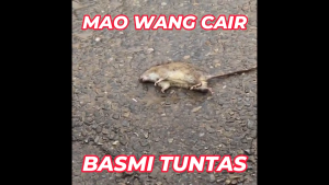 Paket 25 Biji Maowang CAIR MERAH Racun Tikus Kualitas Super