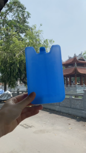 Đá khô giữ lạnh cho quạt điều hòa sữa đồ uống thực phẩm du lịch hộp băng khô dạng gel CO2 ( Nhiều lựa chọn)