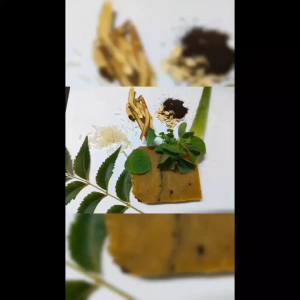 Licorice  Aloe Vera  and Mango Butter Soap 100gm