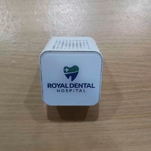 Souvenir Speaker Bluetooth Custom Logo BTSPK03