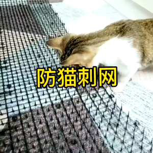 【Free Shipping】50cm Bird Repellent Mat Spikes S/Steel Animal Repeller Chase Birds Device Dashboard Penghalang Burung Besi Tajam