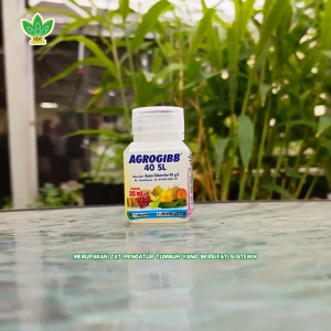 Agrogibb 40SL 35ml - Meningkatkan Pertumbuhan dan Hasil Panen