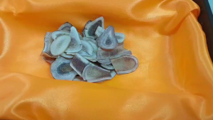 (50 กร้ม) เขากวาง เขากวางหั่นบาง เขากวางอ่อน เขากวางแท้ สำหรับต้ม ตุ่น ทำซุป ให้ญาติผู้ใหญ่ (สินค้าอยู่ในไทย ส่งไว ม่ายต้องรอนาน)