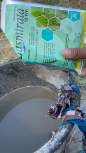 [ COD ] Basmirata 15WP Herbisida Pembasmi Gulma Pengganggu Tanaman Padi/Basmirata Kemasan 50 gram/Herbisida Basmirata 15 WP Kemasan 50 gram/Basmirata 15 WP kemasan 50 gram/Obat Pertanian Basmirata  15 WP Kemasan 50 gram