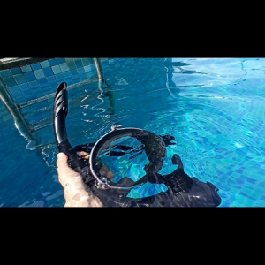 Snorkeling Set for Adult Diving Mask with Snorkel Adjustable Strap Diving Snorkel Gear Snorkeling Mask Set Snorkel Set for Adult