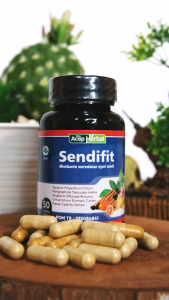 Obat Saraf Kejepit Rematik dan Asam Urat - Ginseng Merah - Sendifit Asli Original
