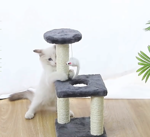 Đồ chơi trụ cào móng cho Mèo (mẫu mới) - Love Pets Shop