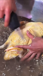 Máy nhổ lông vịt gà cầm tay Máy vặt lông gia cầm chạy điện hoàn toàn tự động