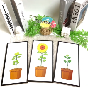 TENNESY HIASAN DINDING BUNGA MATAHARI: DEKORASI KAMAR TIDUR YANG EKSENKTRIK