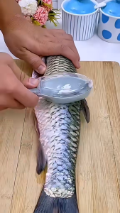 Fish Scaler with Lid Fish Scale Planer Scraper Fish Scaling Brush Fish Scaler