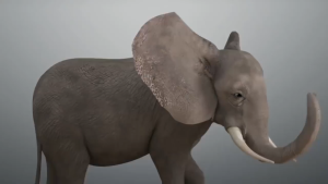 Lem Penangkap Tikus & Perangkap Jebakan Tikus Serbaguna Cap Gajah M4N85