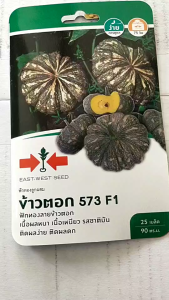 ผักซอง ศรแดง ฟักทอง ข้าวตอก [ จำนวน 25 เมล็ดต่อซอง ] หมดอายุ 26/09/2570 เมล็ดพันธุ์ ลอตใหม่ ฟักทอง ลายข้าวตอก เนื้อผลหนา เนื้อเหนียว รสชาติมัน npkplant