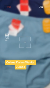 Celana Dalam Wanita Dewasa Jumbo Lusinan Sorex 1249 | Cd Wanita Premium Big Size Super Soft