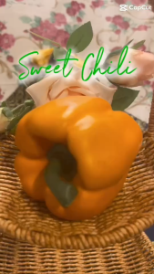 โมเดลพริกหยวก พริกหวาน พริกหยวกปลอม โมเดลผักผลไม้ ผักผลไม้ปลอม