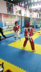 15-IN-1 Taekwondo Karate practice competition equipment protection suit for children or adults Taekwondo protective gear set