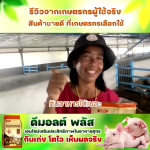 อาหารหมู DMOLT PLUS ดีมอลต์ และแร่ธาตุ เพื่อการเจริญเติบโต พลัสเอนไซม์