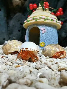 บ้านเห็ด แต่งตู้ปลา ตกแต่งตู้ปลา บ่อเลี้ยงปลาและกุ้ง ซ่อนได้ สําหรับตกแต่งตู้ปลา ตู้ไม้น้ำ