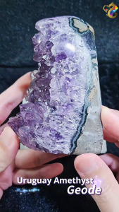 Uruguay Amethyst Geode with Big Teeth