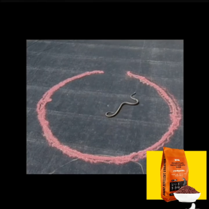 10000เมตรไม่มีงู ผงไล่งู กันลมและฝน ยากันงู ขับรถออกไปงูเห่า งูห้าขั้นตอน กำจัดงู ไล่แมลงและสัตว์เลื้อยคลาน ไม่มีสารเคมี คุณภาพสูง ใช้ง่าย( สารไล่งู ผงกันงู กำมะถันไล่ง กำมะถันผง ไล่แมลง เครื่องไล่งู ผงกำมะถันไล่งู ผงกำมะถัน)