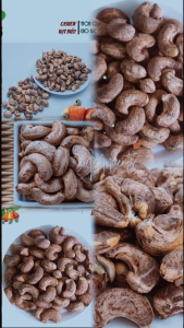 [GIÁ TỐT HCM] Hạt Điều lụa rang muối Bình Phước TH FONUT (250gram  500gram) giòn ngọt béo không bị hôi dầu