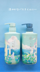 Set Dầu Gội Và Dầu Xả Hương Bạc Hà Sảng Khoái Mát Lạnh Ichikami Mint Shampoo And Conditioner ( 480mL Và 480G )