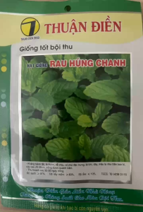 Hạt giống Rau Húng Chanh Thuận Điền - Giống Tốt Bội Thu