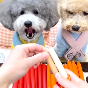 DEHIGH Premium Dog Sausage Treats & Hotdog Style Pet Snack