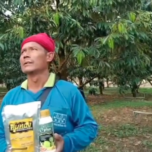 17 Plus 17พลัส ของแท้ ชุดสร้างใบ หลังกับลูก สะสมอาหาร เพื่อดอกดก ลูกดก  2แถม1ขวด