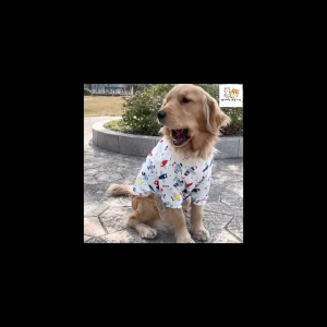 MEOWOOF Big Dog Clothes Big Size Dog Shirt Large Dog Shirt Big Dog Shirt 狗狗 衣服 大型犬 狗狗衣服中型犬 狗衣服 大型犬 大狗衣服 大型犬衣服