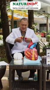 Obat stroke paling ampuh sebelah kiri sebelah kanan herbal ringan carsifit naturindo